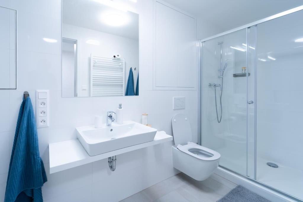 City Park Apartment - Brno Luaran gambar